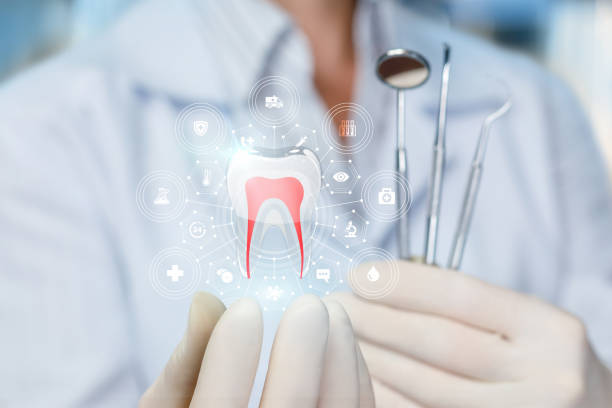 Trusted South Chicago Heights, IL Holistic Dental Care Services Experts